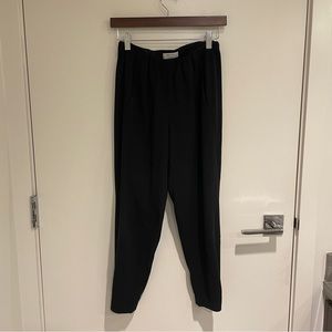 Aritzia dexter pants